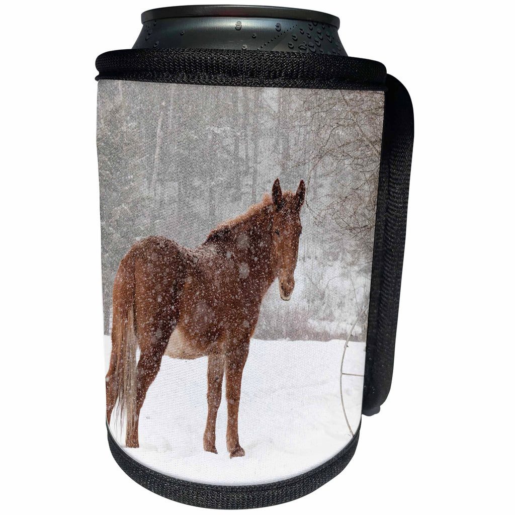 3dRose Danita Delimont - Horses - Mule and falling snow, Kalispell, Montana - Can Cooler Bottle Wrap (cc_279183)