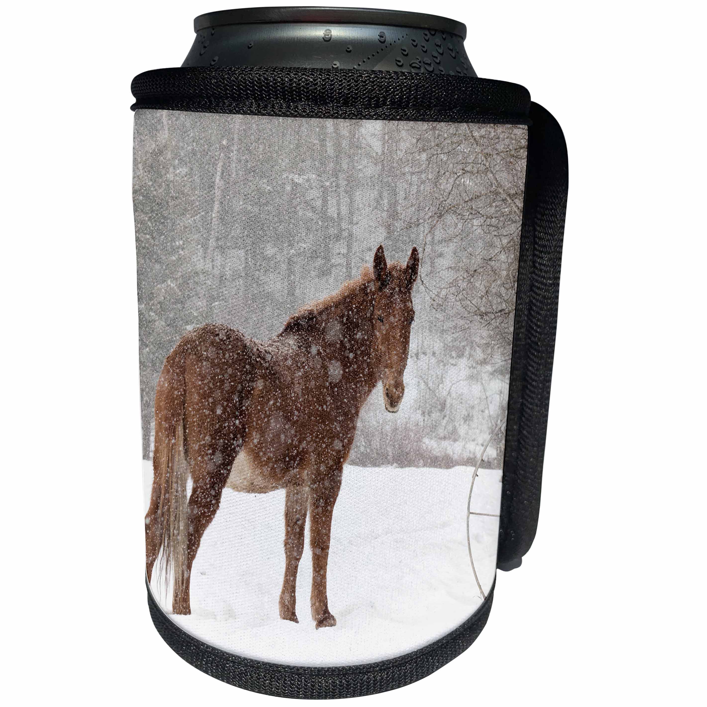 3dRose Danita Delimont - Horses - Mule and falling snow, Kalispell, Montana - Can Cooler Bottle Wrap (cc_279183)