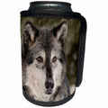 3dRose Danita Delimont - Wolves - Gray Wolf or Timber Wolf in winter, Canis lupus, Montana - Can Cooler Bottle Wrap (cc_279184)