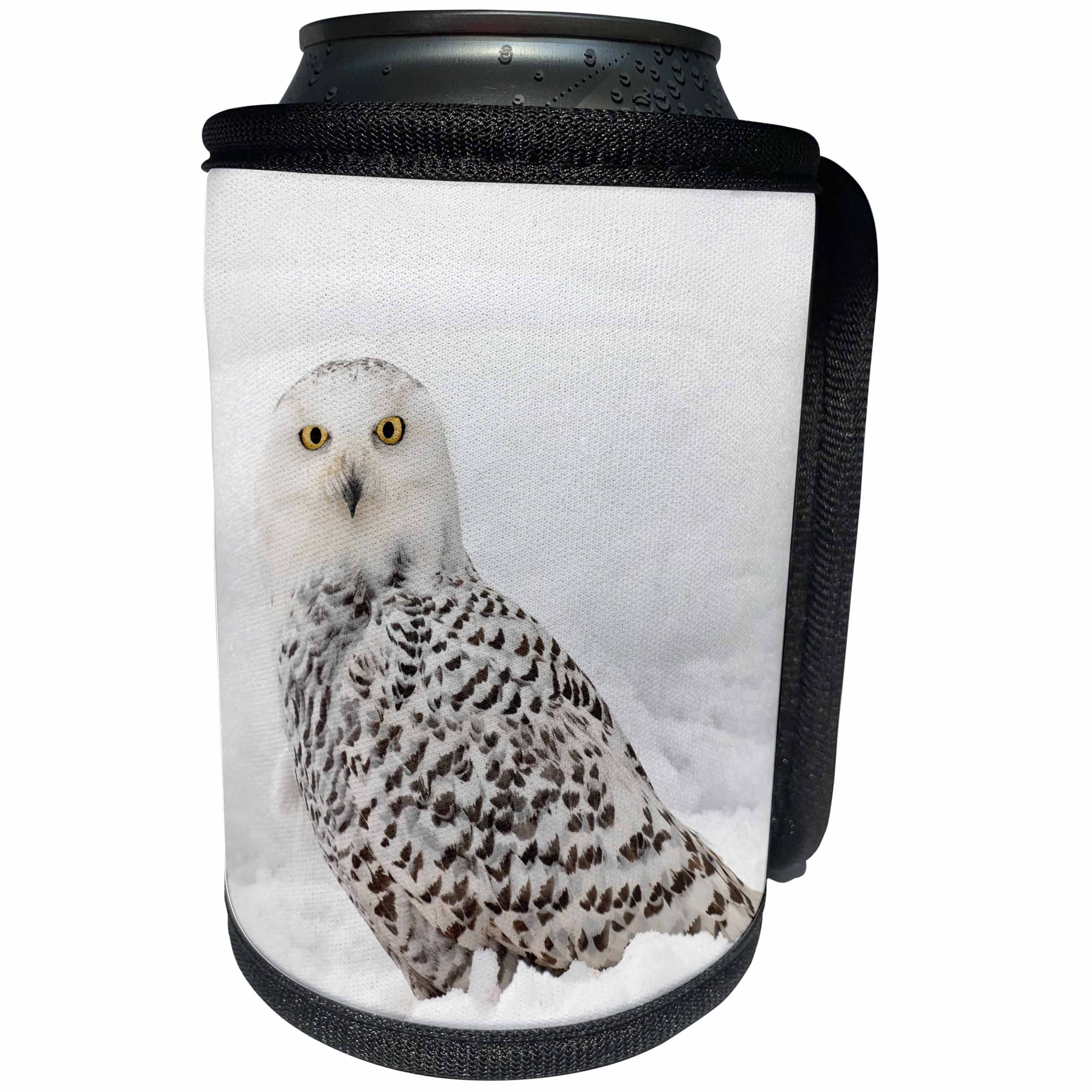 3dRose Danita Delimont - Owls - Snowy Owl on snow, Montana - Can Cooler Bottle Wrap (cc_279187)