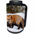 3dRose Danita Delimont - Foxes - Red Fox in winter, Montana - Can Cooler Bottle Wrap (cc_279191)