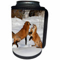 3dRose Danita Delimont - Foxes - Red Foxes fighting in winter, Montana - Can Cooler Bottle Wrap (cc_279192)