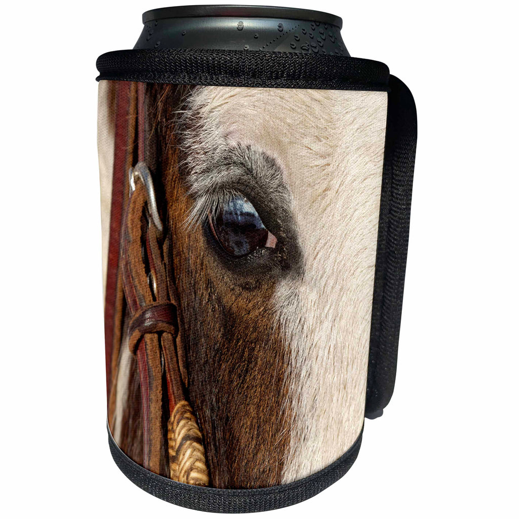3dRose Danita Delimont - Horses - Horse close up in winter, Kalispell, Montana, Equus ferus caballus - Can Cooler Bottle Wrap (cc_279200)