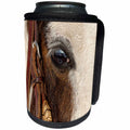 3dRose Danita Delimont - Horses - Horse close up in winter, Kalispell, Montana, Equus ferus caballus - Can Cooler Bottle Wrap (cc_279200)