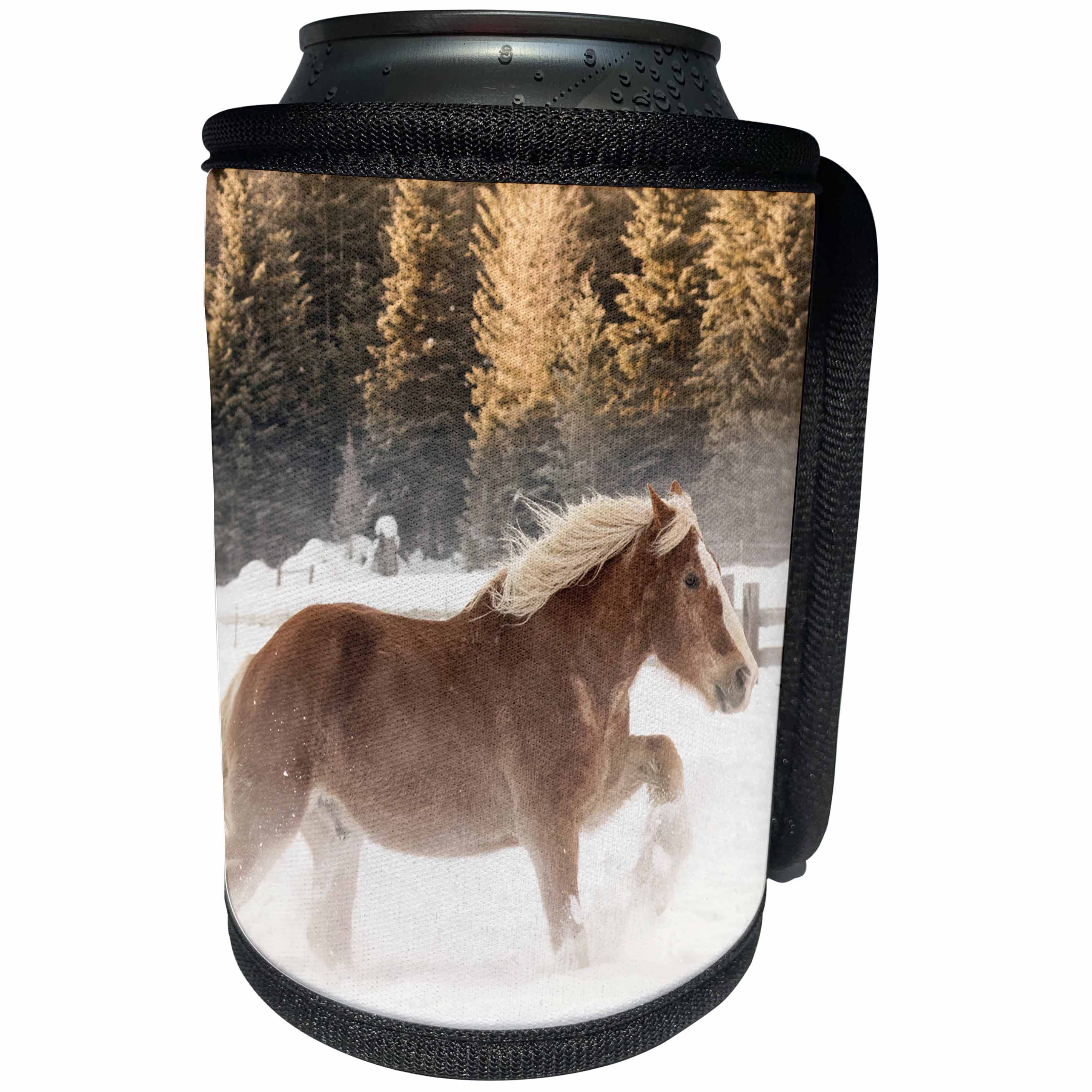 3dRose Danita Delimont - Horses - Belgian Horse running through the snow, Kalispell, Montana. - Can Cooler Bottle Wrap (cc_279203)