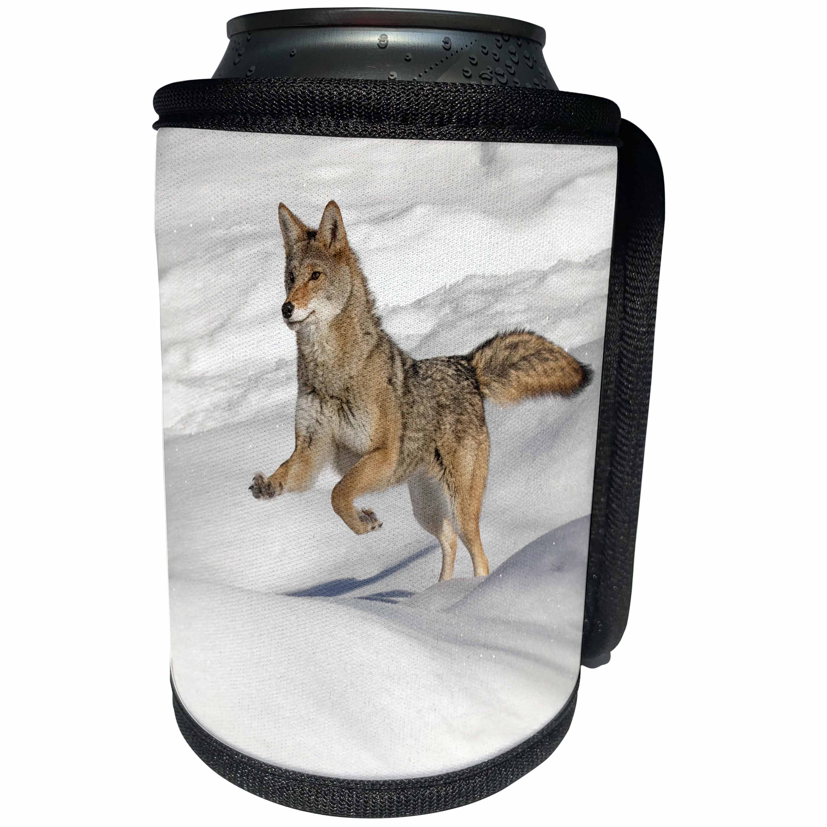 3dRose Danita Delimont - Coyotes - Coyote running over snow in winter, Montana - Can Cooler Bottle Wrap (cc_279206)