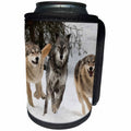 3dRose Danita Delimont - Wolves - Gray Wolf pack behavior in winter, Montana - Can Cooler Bottle Wrap (cc_279208)