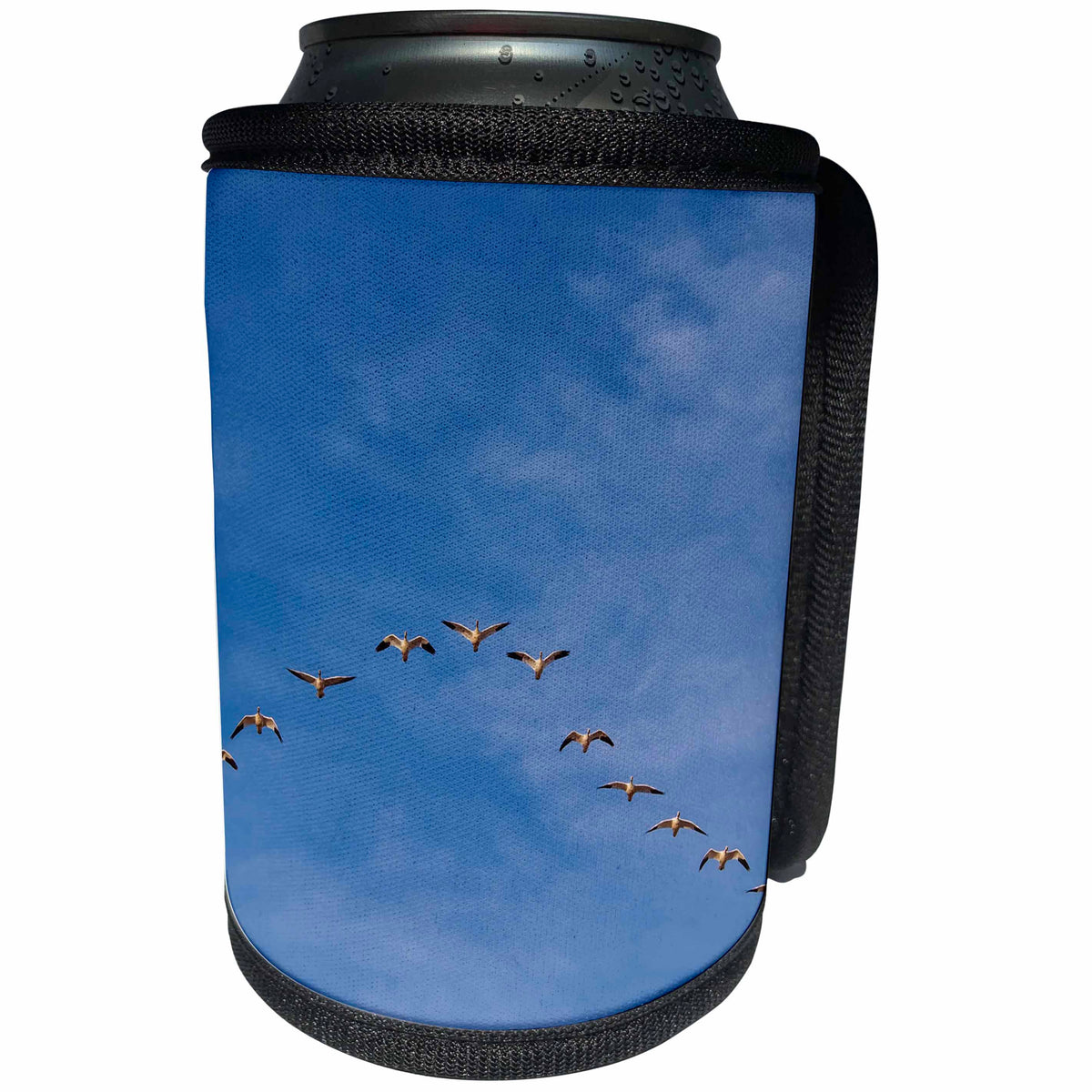 3dRose Danita Delimont - Birds - New Mexico, Bosque Del Apache NWR, Snow Geese Flying in a V Pattern - Can Cooler Bottle Wrap (cc_279246)
