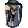 3dRose Danita Delimont - Cats - Cat and sofa - Can Cooler Bottle Wrap (cc_279252)