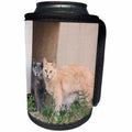 3dRose Danita Delimont - Cats - Two Cats watching - Can Cooler Bottle Wrap (cc_279253)