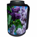 3dRose Danita Delimont - Flowers - New York. Lilac flowers in bloom. - Can Cooler Bottle Wrap (cc_279256)