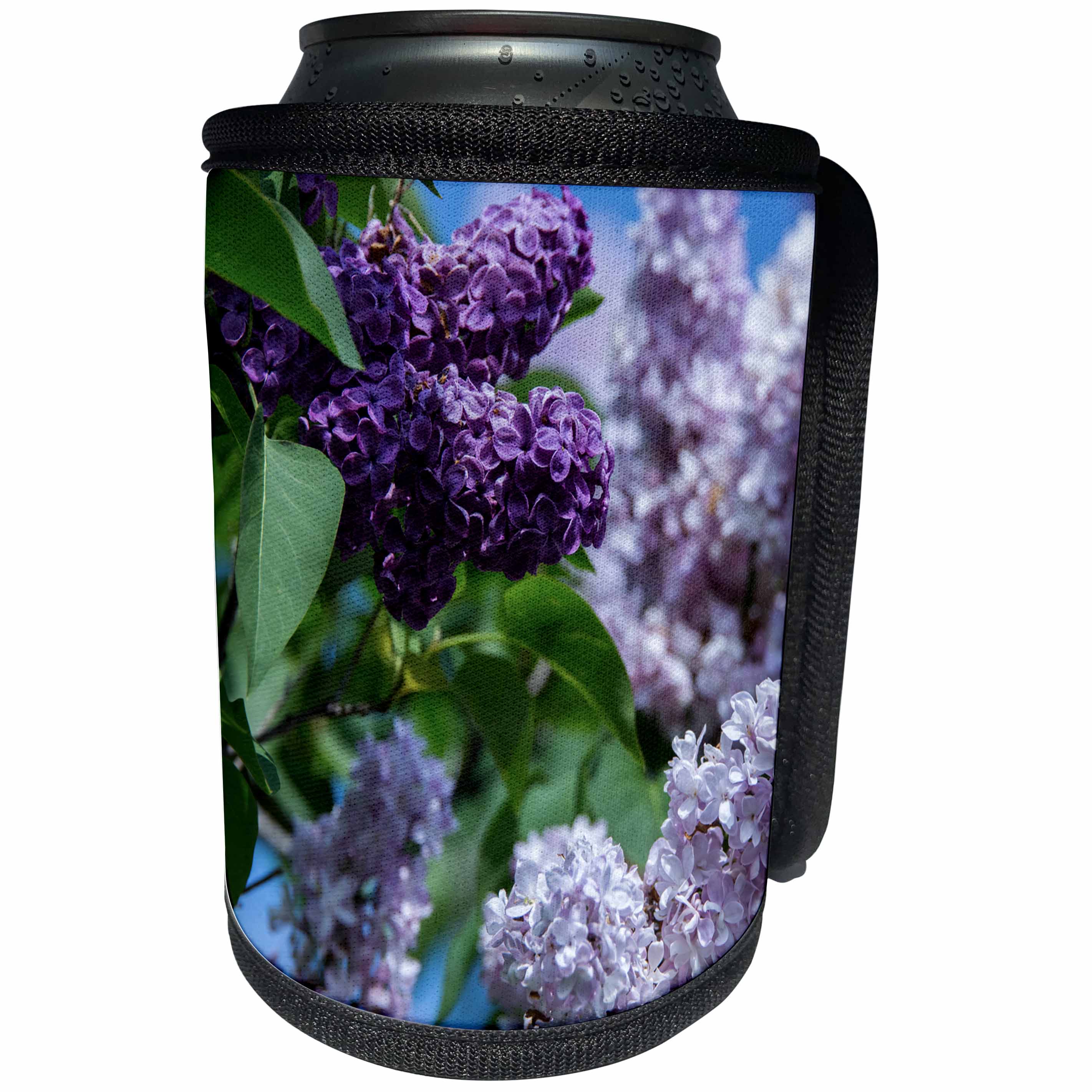 3dRose Danita Delimont - Flowers - New York. Lilac flowers in bloom. - Can Cooler Bottle Wrap (cc_279256)