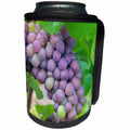 3dRose Danita Delimont - Vineyards - Purple wine grapes On Vine, New York, Usa - Can Cooler Bottle Wrap (cc_279266)