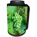 3dRose Danita Delimont - Vineyards - Green Grapes On Vine, New York, Usa - Can Cooler Bottle Wrap (cc_279267)