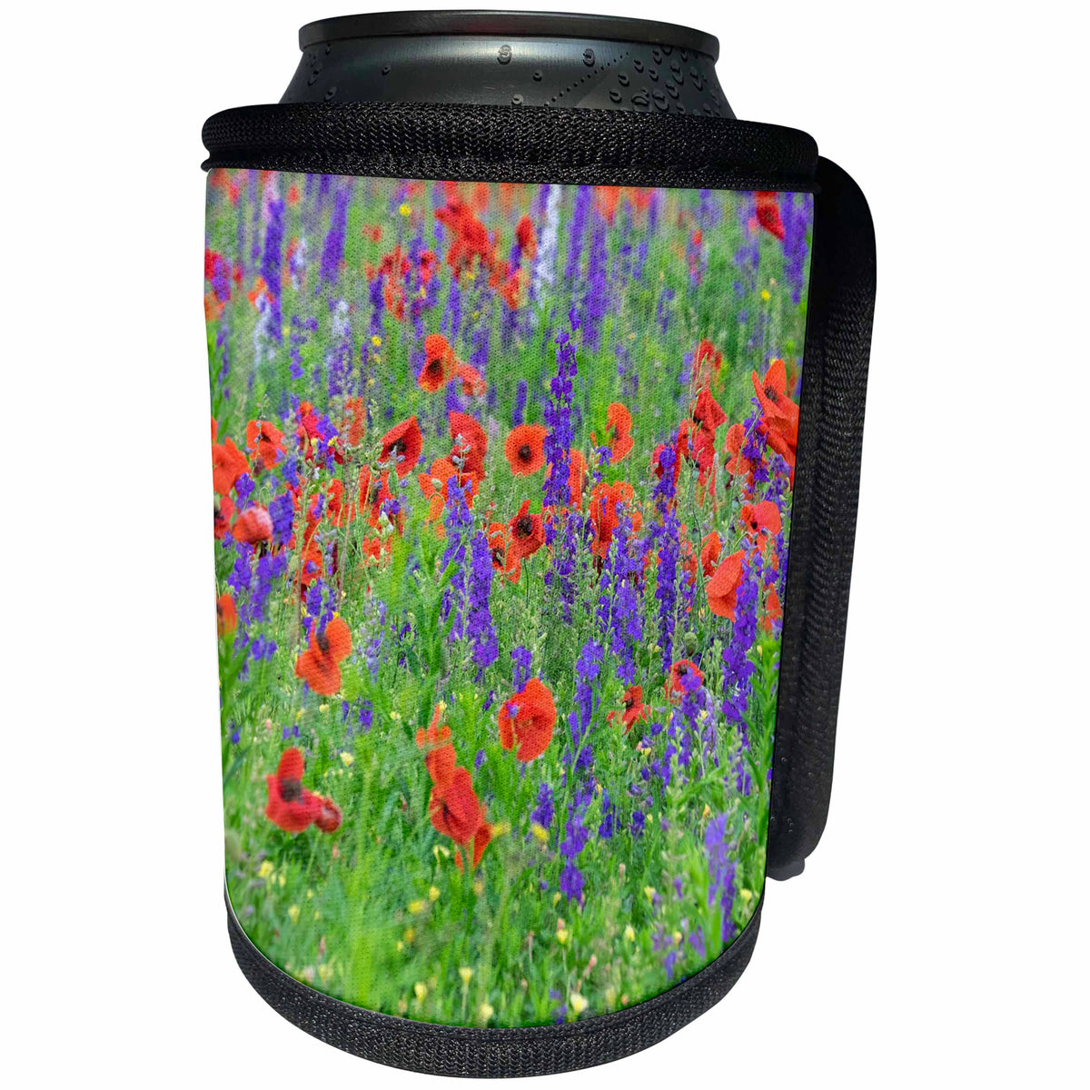3dRose Danita Delimont - Flowers - Poppy field with wildflowers, Mount Olive, North Carolina, USA - Can Cooler Bottle Wrap (cc_279269)