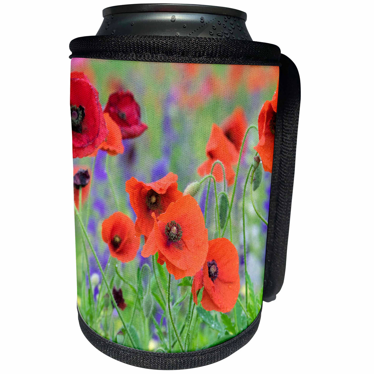 3dRose Danita Delimont - Flowers - Close up of poppies, Mount Olive, North Carolina, USA - Can Cooler Bottle Wrap (cc_279271)