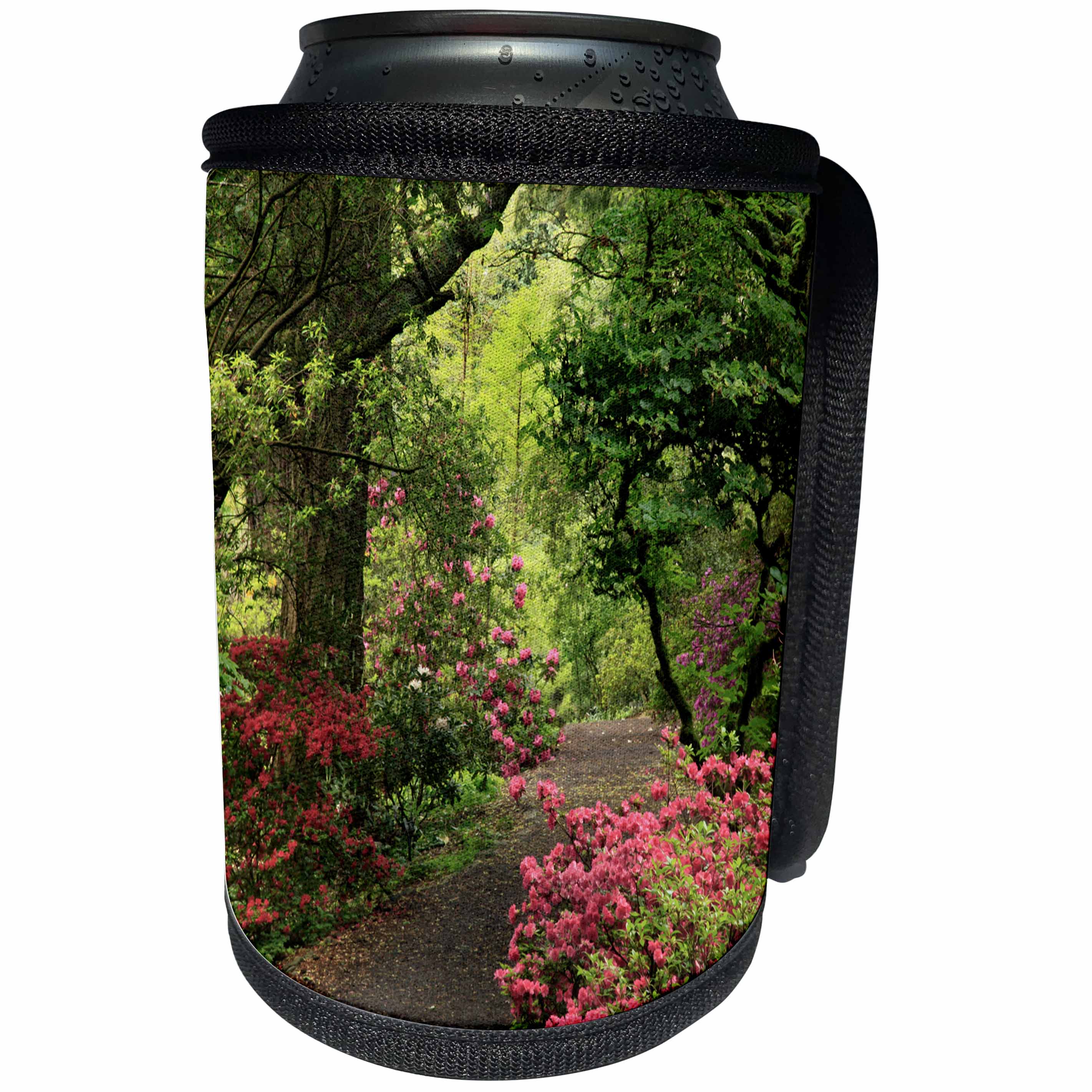 3dRose Danita Delimont - Paths - USA, Oregon, Portland. Path through a Garden. - Can Cooler Bottle Wrap (cc_279308)