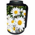 3dRose Patricia Sanders Flowers - Daisies in Summer Floral - Can Cooler Bottle Wrap (cc_27931)
