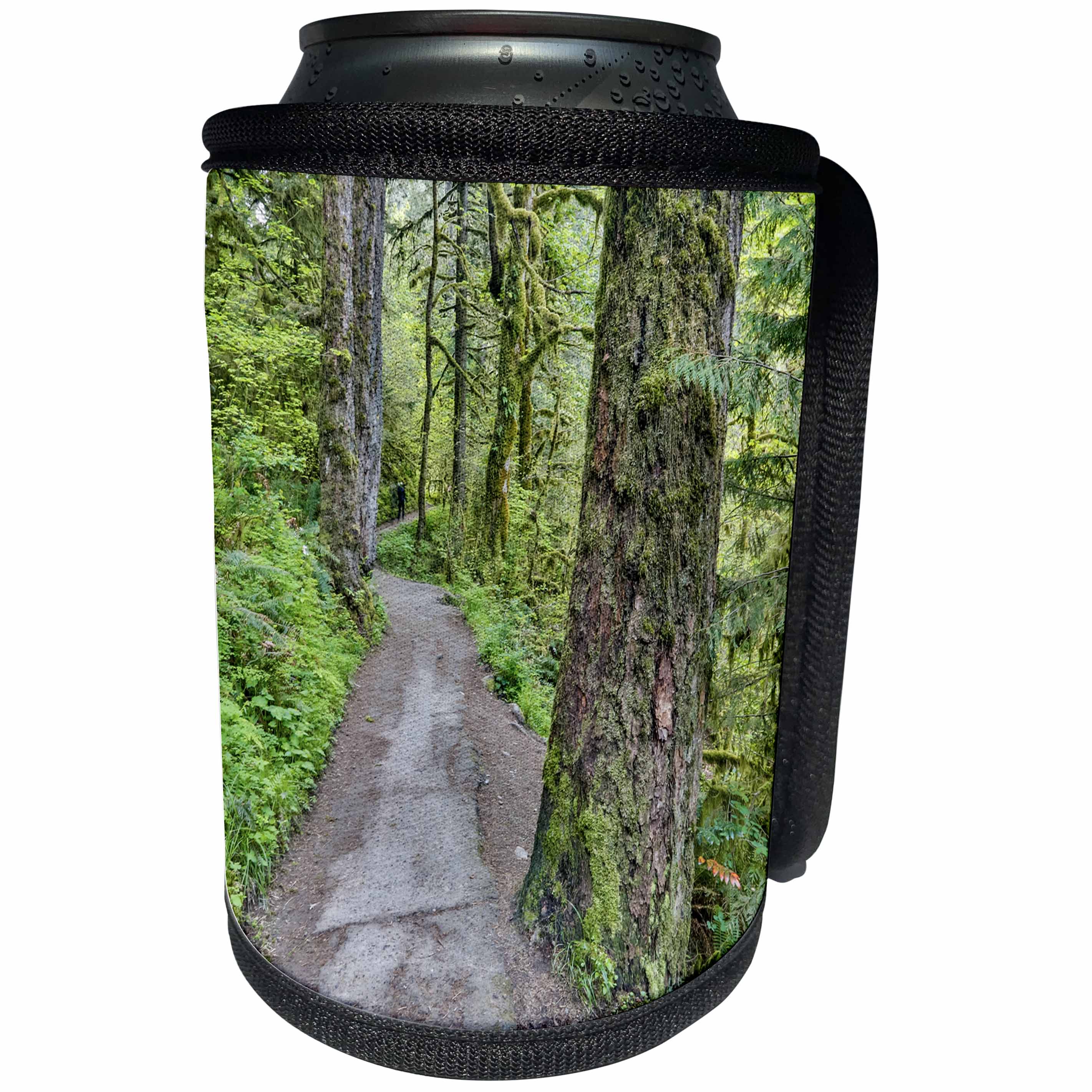 3dRose Danita Delimont - Roads - Trail leading to Elwha Falls, Columbia River Gorge, Oregon - Can Cooler Bottle Wrap (cc_279326)