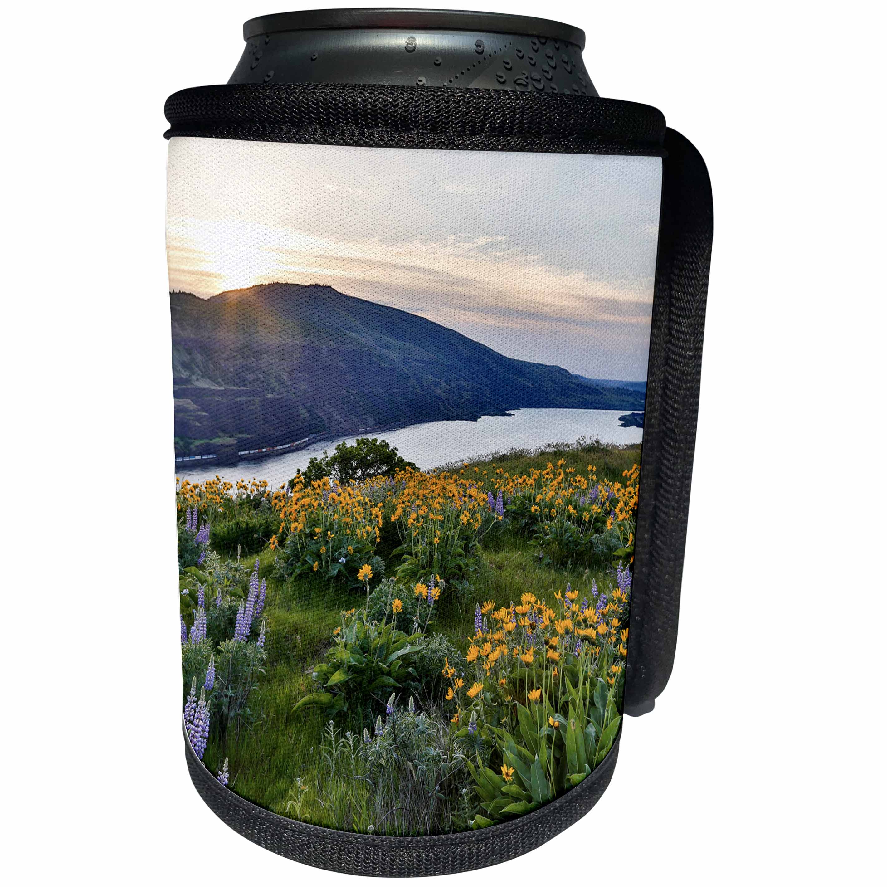3dRose Danita Delimont - Flowers - Fields of Balsamroot and Lupine above Columbia River, Rowena, Oregon - Can Cooler Bottle Wrap (cc_279327)