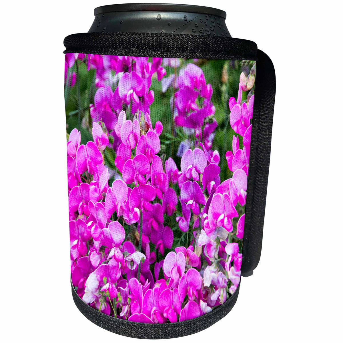 3dRose Danita Delimont - Flowers - Oregon, Fall Creek. Oregon Wildflowers. Wild sweet peas - Can Cooler Bottle Wrap (cc_279331)