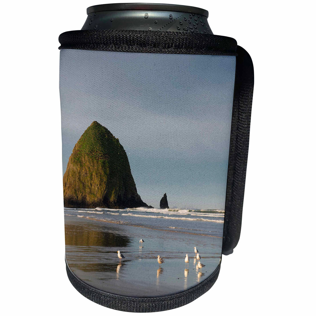 3dRose Danita Delimont - Beaches - Haystack Rock on Cannon Beach, Oregon - Can Cooler Bottle Wrap (cc_279334)