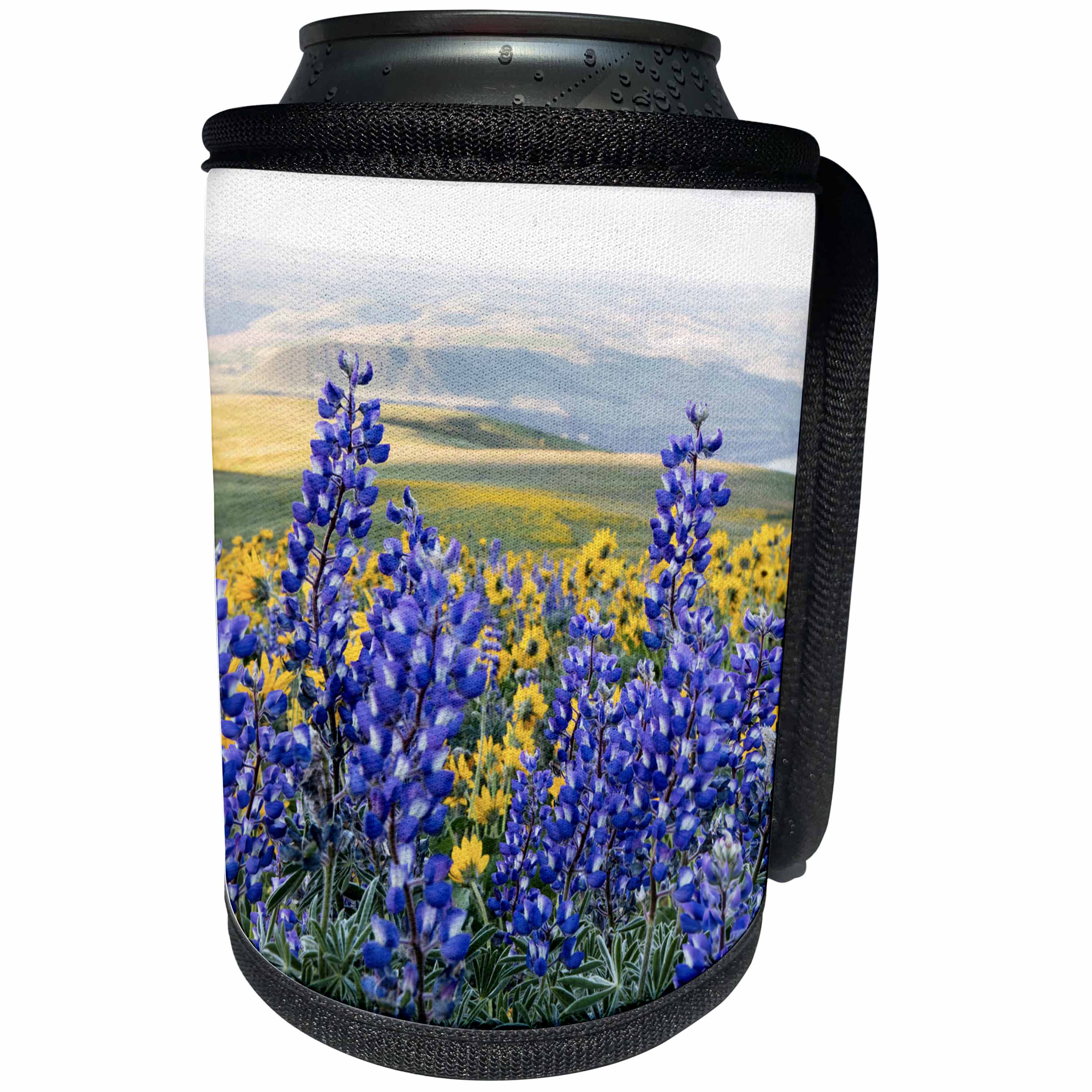 3dRose Danita Delimont - Flowers - USA, Oregon, Columbia River Gorge, Landscape along the Gorge - Can Cooler Bottle Wrap (cc_279337)