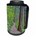 3dRose Danita Delimont - Roads - USA, Oregon, Columbia River Gorge, Path to Elwha Falls - Can Cooler Bottle Wrap (cc_279340)
