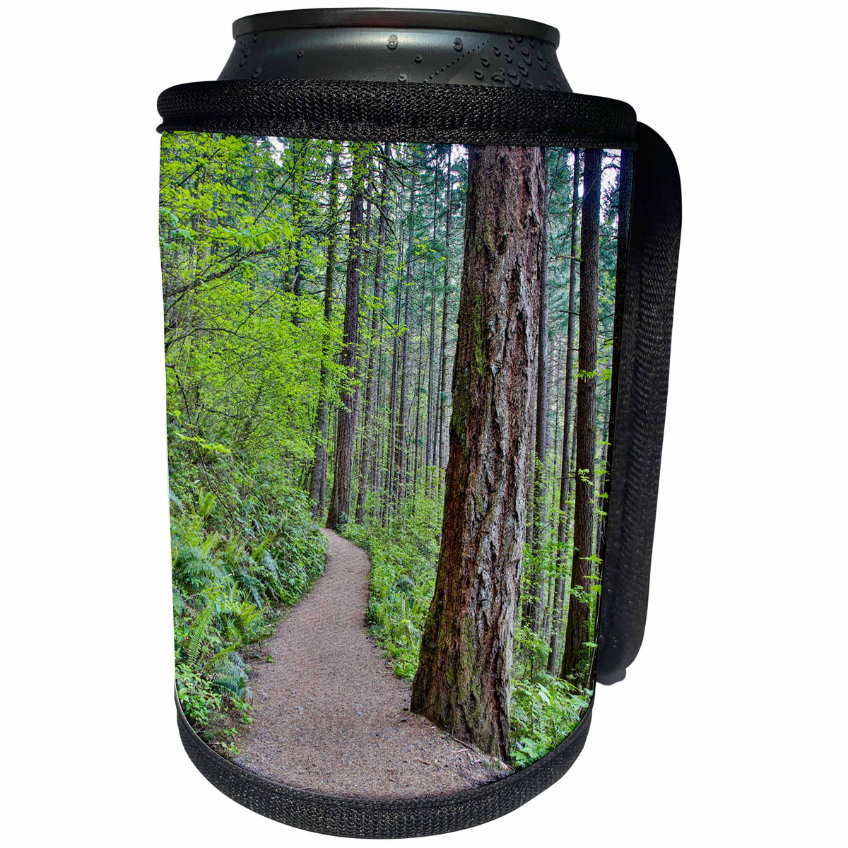 3dRose Danita Delimont - Roads - USA, Oregon, Columbia River Gorge, Path to Elwha Falls - Can Cooler Bottle Wrap (cc_279340)