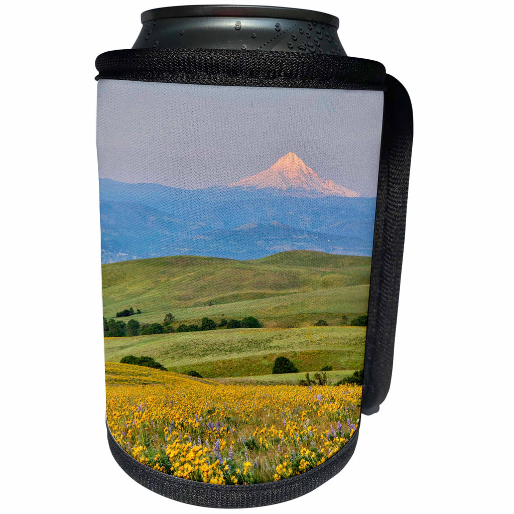 3dRose Danita Delimont - Oregon - USA, Oregon, Columbia River Gorge landscape of field and Mt. Hood - Can Cooler Bottle Wrap (cc_279342)