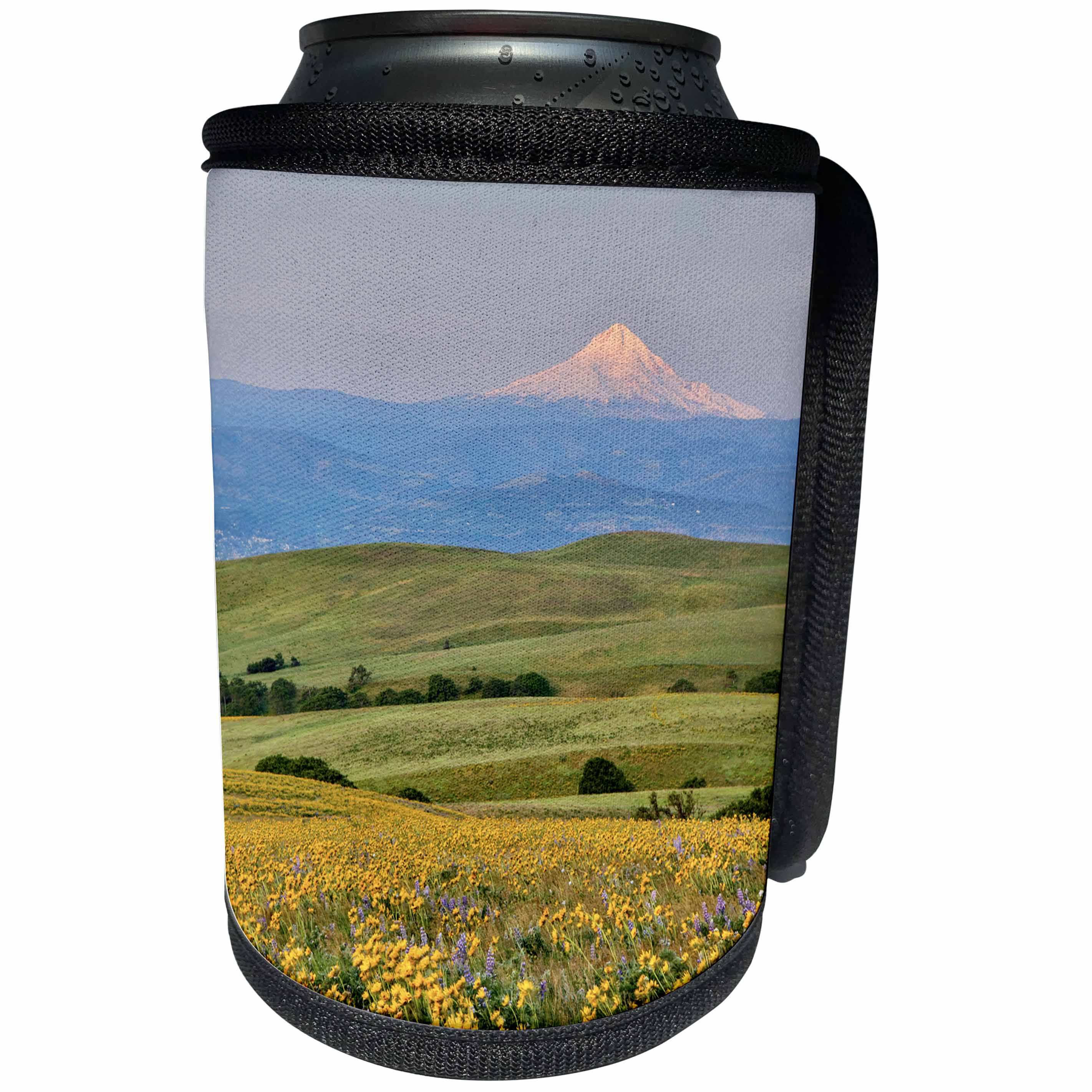 3dRose Danita Delimont - Oregon - USA, Oregon, Columbia River Gorge landscape of field and Mt. Hood - Can Cooler Bottle Wrap (cc_279342)