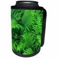 3dRose Danita Delimont - Patterns - Oregon, Portland, Bracken fern in spring. - Can Cooler Bottle Wrap (cc_279347)