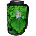 3dRose Danita Delimont - Flowers - Oregon, Tryon Creek, Western Trillium in bloom surrounded by green. - Can Cooler Bottle Wrap (cc_279348)