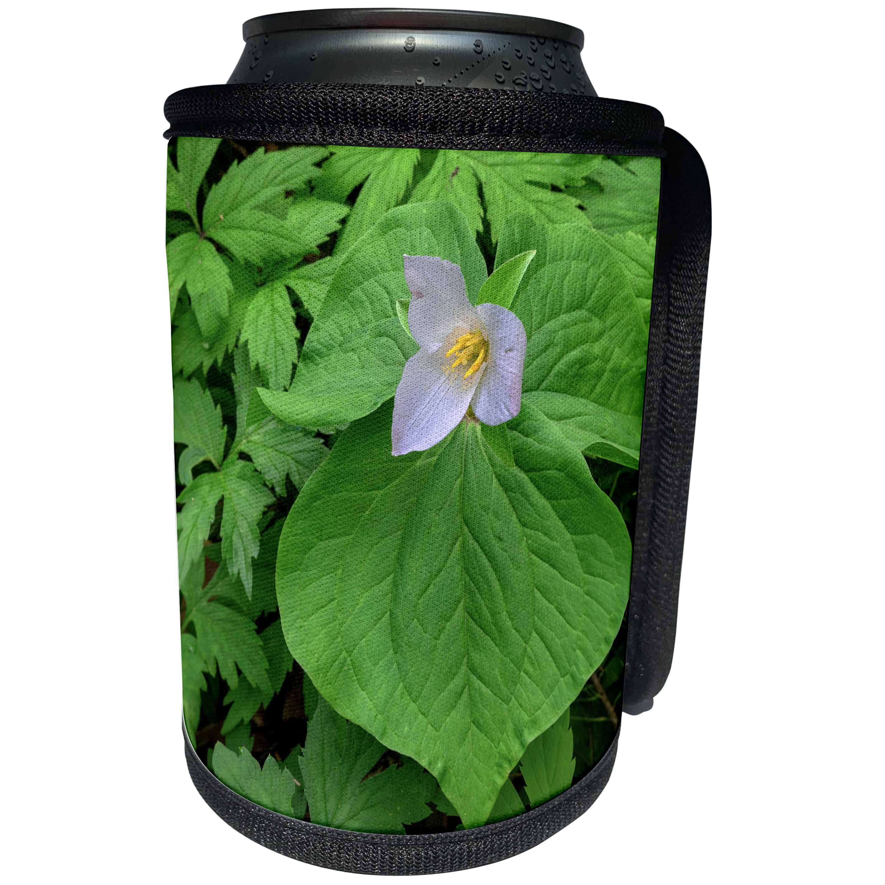 3dRose Danita Delimont - Flowers - Oregon, Tryon Creek, Western Trillium in bloom surrounded by green. - Can Cooler Bottle Wrap (cc_279348)