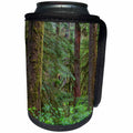 3dRose Danita Delimont - Forests - Oregon, Willamette NF, old growth forest with large Douglas fir. - Can Cooler Bottle Wrap (cc_279352)