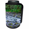 3dRose Danita Delimont - Rivers - Oregon, Mt.Hood NF, Salmon Huckleberry Wilderness, Salmon River - Can Cooler Bottle Wrap (cc_279353)