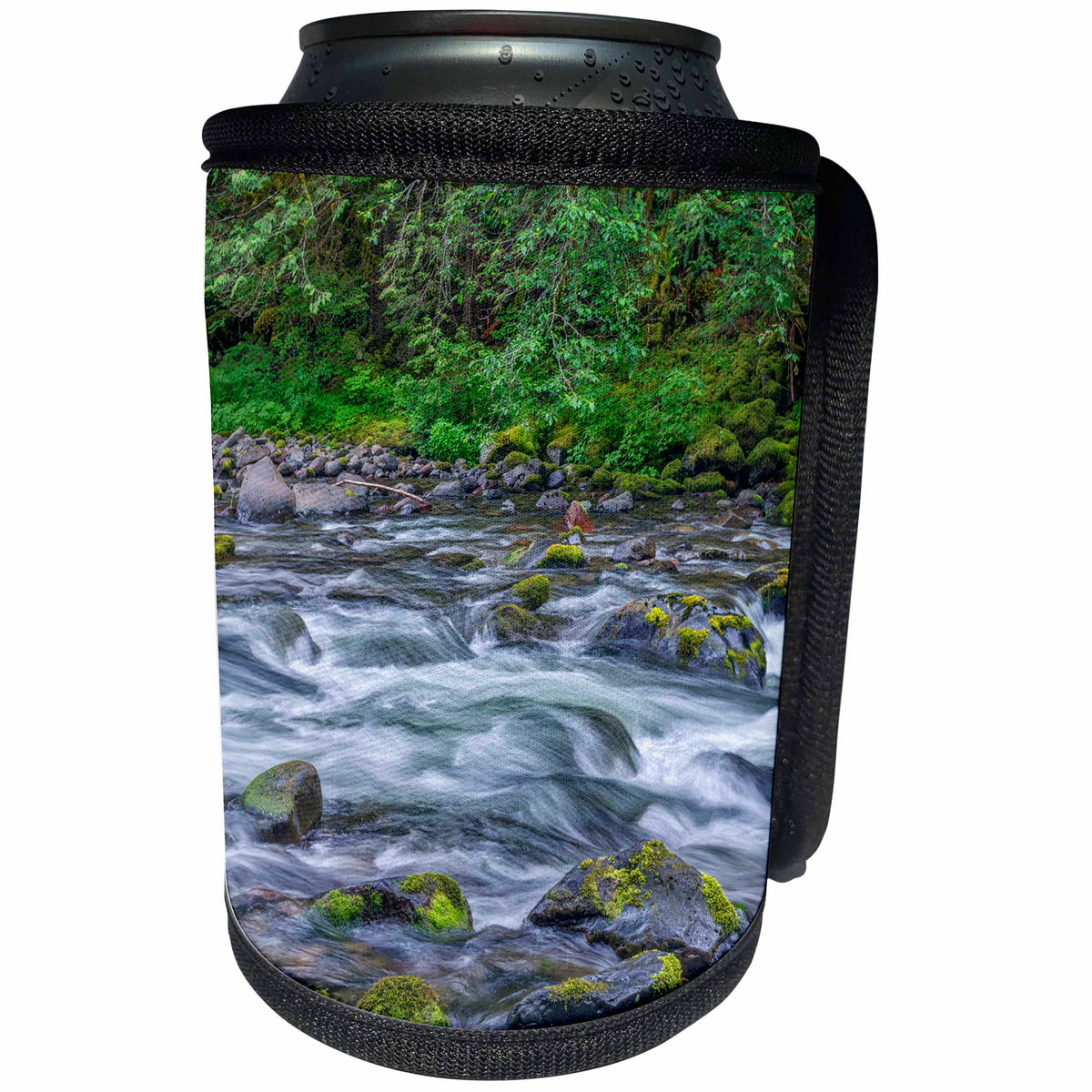 3dRose Danita Delimont - Rivers - Oregon, Mt.Hood NF, Salmon Huckleberry Wilderness, Salmon River - Can Cooler Bottle Wrap (cc_279353)