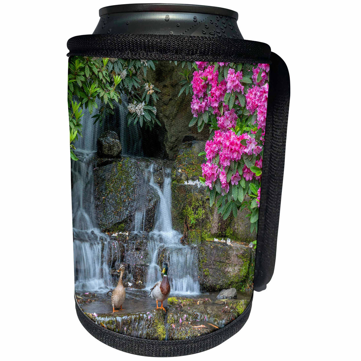 3dRose Danita Delimont - Waterfalls - Oregon, Portland, Mallard ducks pair on rocks next to waterfall. - Can Cooler Bottle Wrap (cc_279354)