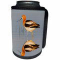 3dRose Danita Delimont - Birds - American Avocet at dawn, Malheur, Oregon - Can Cooler Bottle Wrap (cc_279373)