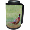 3dRose Danita Delimont - Birds - Ring necked Pheasants - Can Cooler Bottle Wrap (cc_279377)