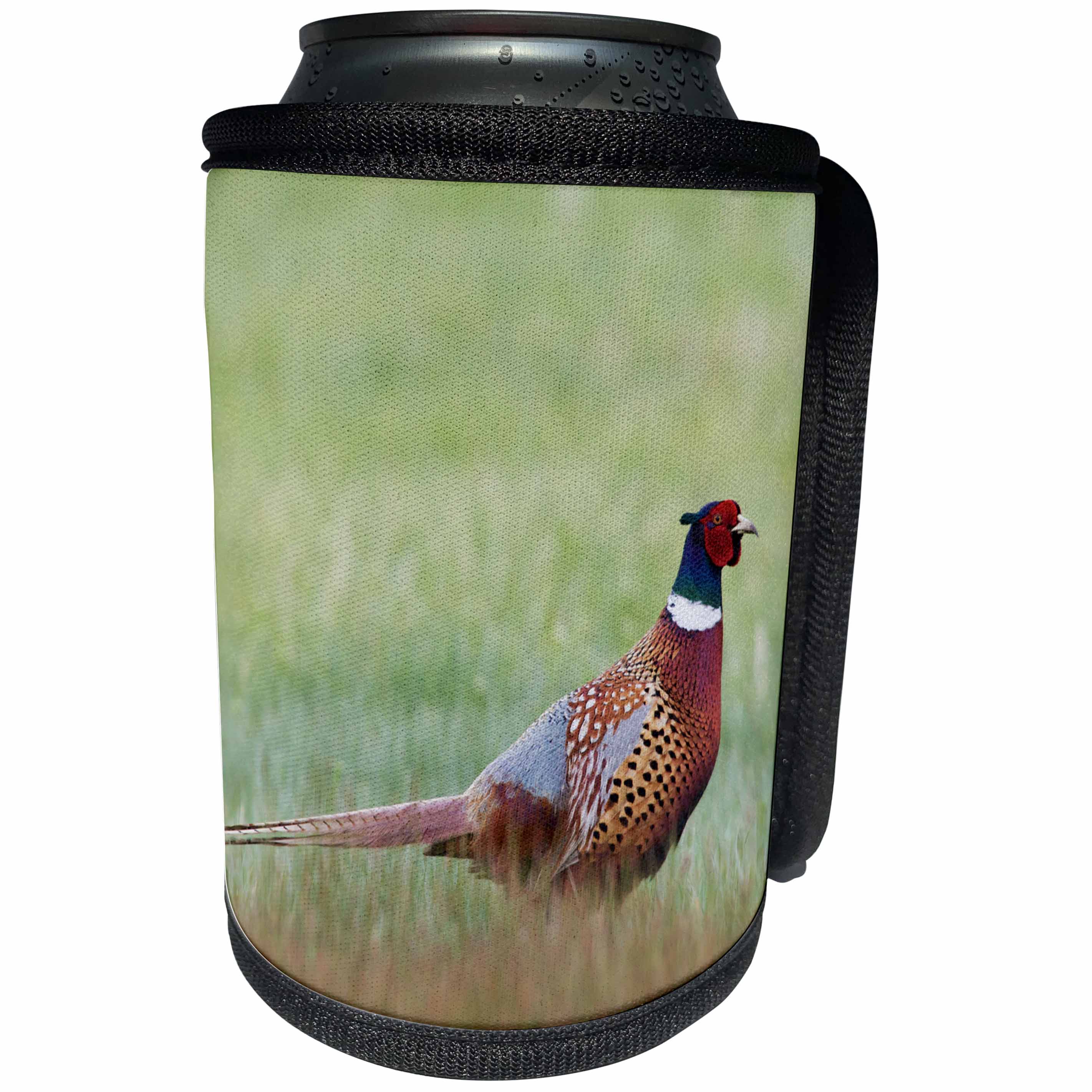 3dRose Danita Delimont - Birds - Ring necked Pheasants - Can Cooler Bottle Wrap (cc_279377)
