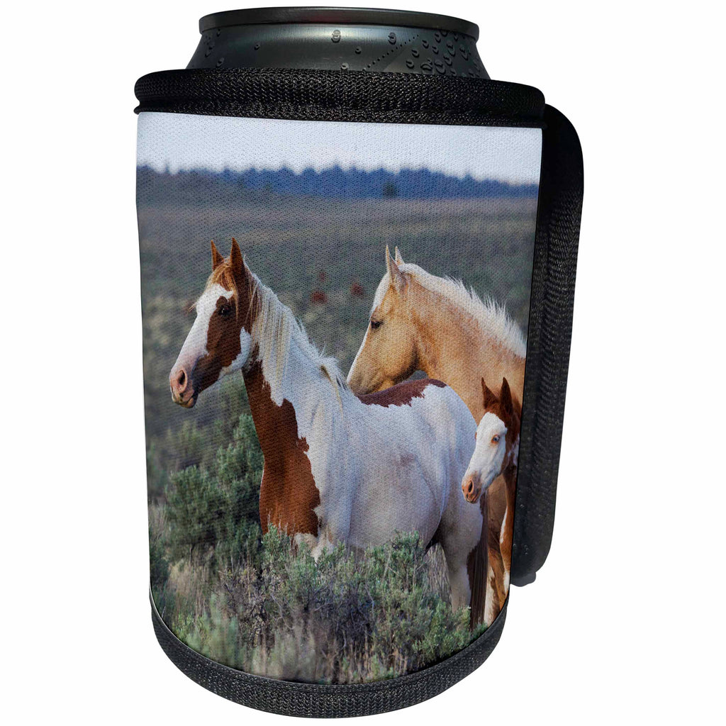 3dRose Danita Delimont - Horses - Wild horses, Mustangs - Can Cooler Bottle Wrap (cc_279378)