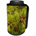 3dRose Danita Delimont - Forests - Pine Cones, Close Up, Deschutes National Forest, Oregon, Usa - Can Cooler Bottle Wrap (cc_279382)