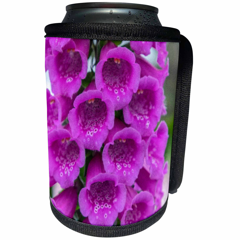 3dRose Danita Delimont - Flowers - Purple Foxglove, USA - Can Cooler Bottle Wrap (cc_279390)