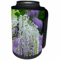 3dRose Danita Delimont - Flowers - White Japanese Wisteria, Kennett Square, Pennsylvania, USA - Can Cooler Bottle Wrap (cc_279394)