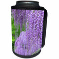 3dRose Danita Delimont - Flowers - Purple Japanese Wisteria, Kennett Square, Pennsylvania, USA - Can Cooler Bottle Wrap (cc_279395)