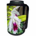 3dRose Danita Delimont - Flowers - White Orchid, Usa - Can Cooler Bottle Wrap (cc_279404)
