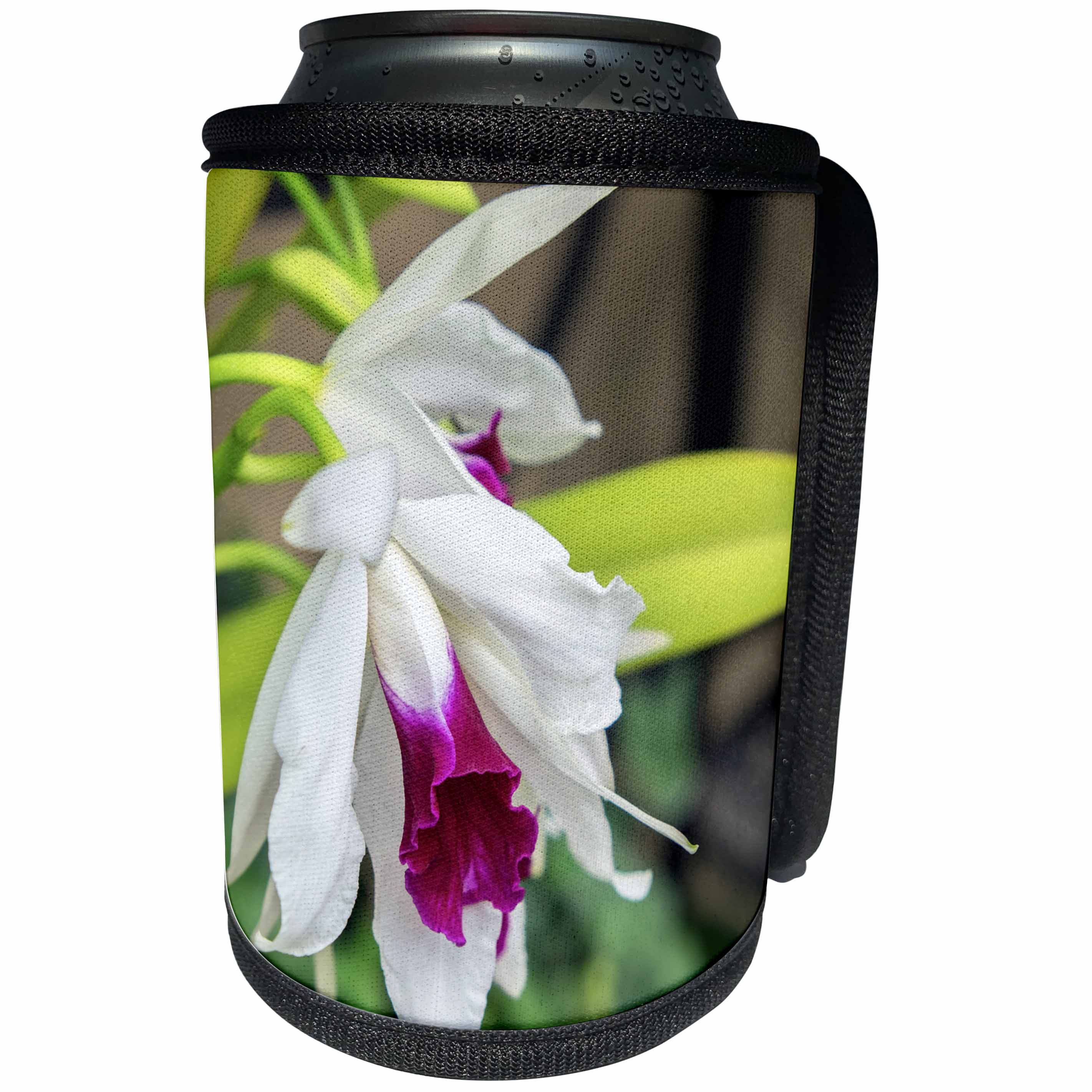 3dRose Danita Delimont - Flowers - White Orchid, Usa - Can Cooler Bottle Wrap (cc_279404)