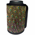 3dRose Danita Delimont - Patterns - Peacock with fanned out tail, South Carolina - Can Cooler Bottle Wrap (cc_279408)