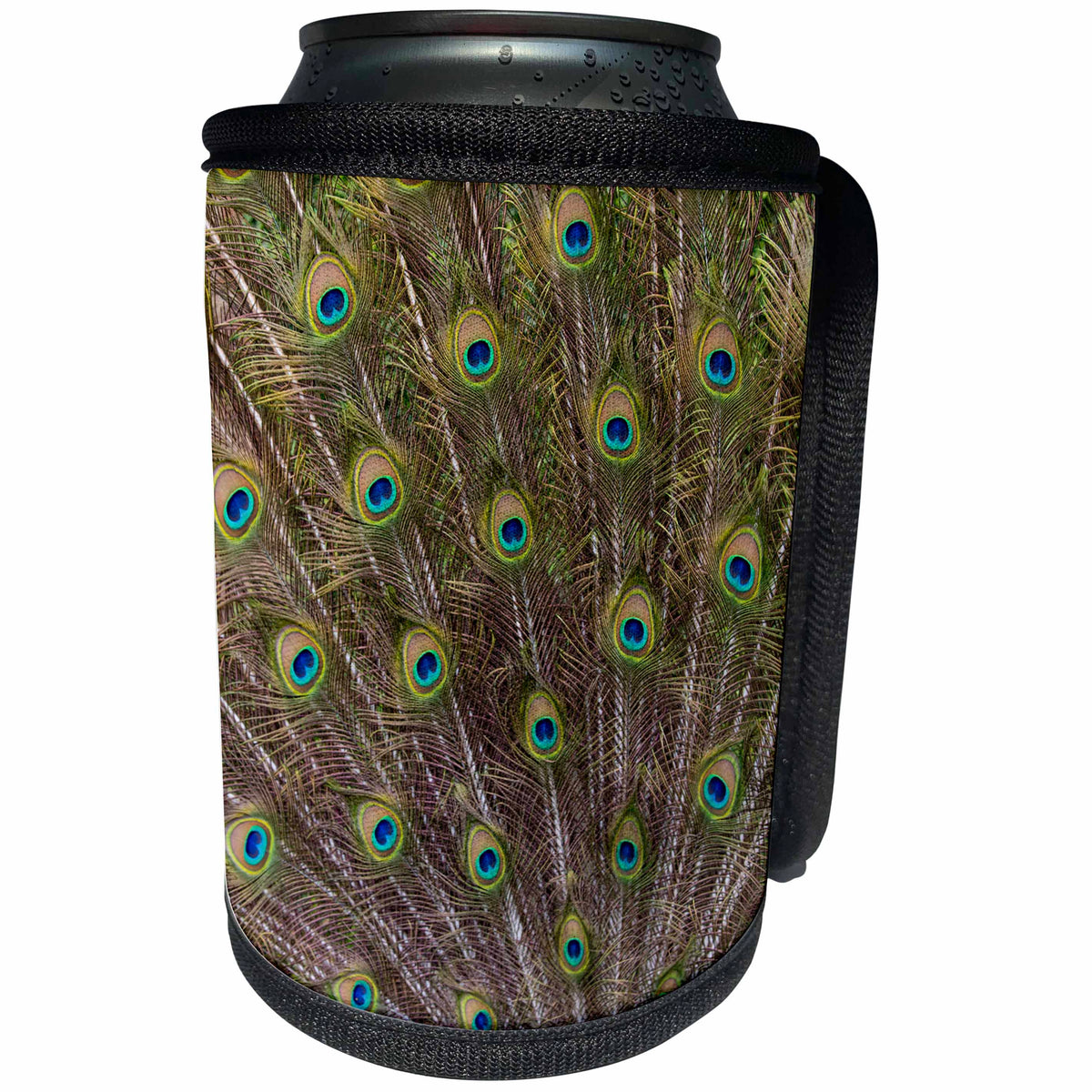 3dRose Danita Delimont - Patterns - Peacock with fanned out tail, South Carolina - Can Cooler Bottle Wrap (cc_279408)